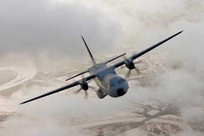 C295W