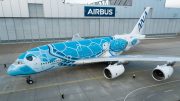 A380 ANA turtle