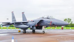 Boeing F-15E Strike Eagle 01-2003 LN 494th FS USAF