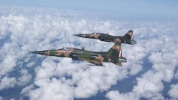 Northrop F-5Es of the Mexican Air Force