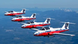 Snowbirds